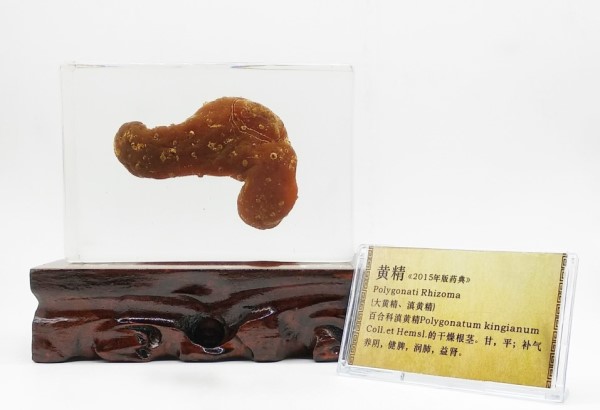 1534234435305611.jpg 大黄精_副本_副本.jpg