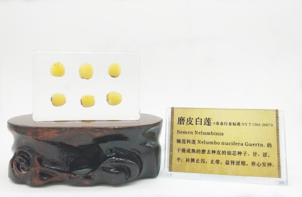 1534237067650425.jpg 磨皮白莲_副本_副本.jpg