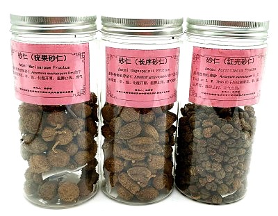 砂仁 (2)_副本.jpg