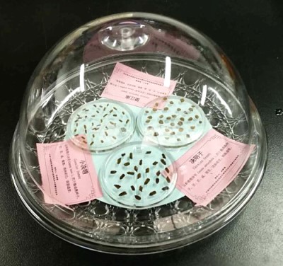 1534320860198462.jpg 决明子.jpg